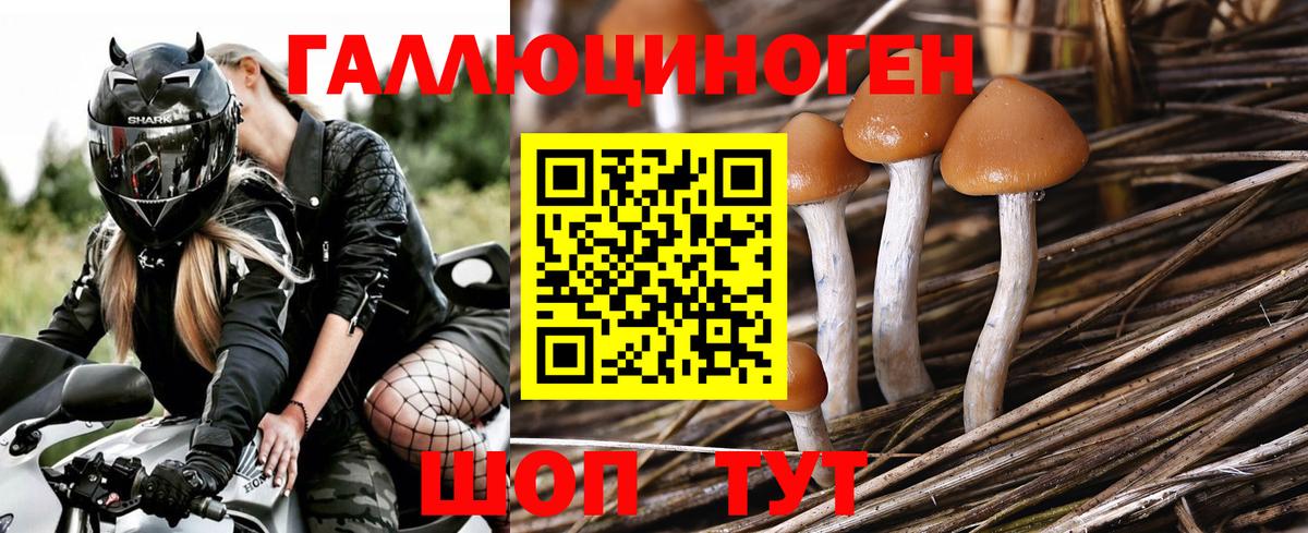 Псилоцибиновые грибы мицелий Каменск-Уральский