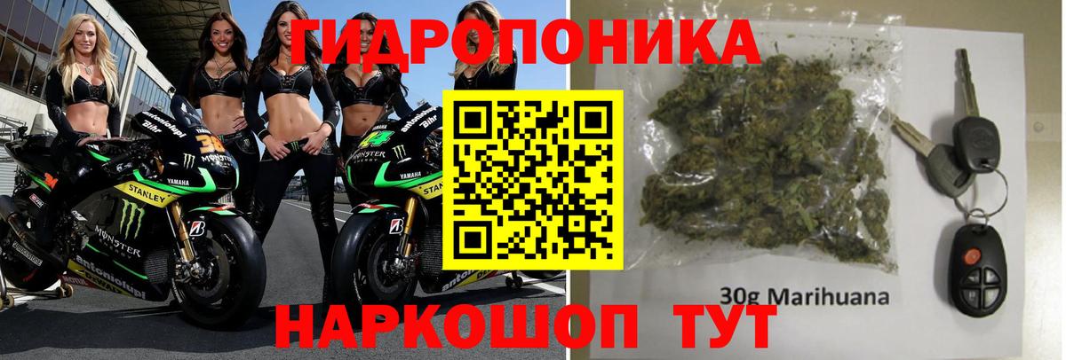Каннабис LSD WEED  Вход с VPN  Каменск-Уральский  Каннабис гибрид 